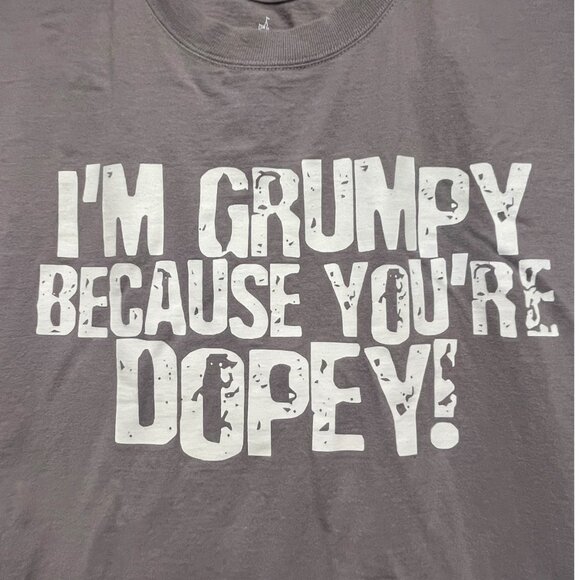 Walt Disney World I’m Grumpy Because You’re Dopey! Parks Gray T-Shirt Men’s M - Picture 4 of 5